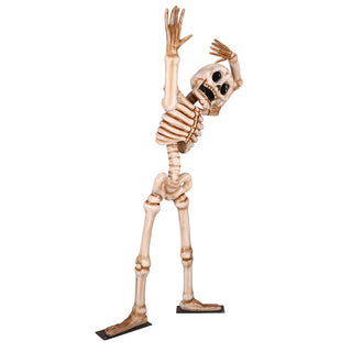 Skeleton Head Tilt 7ft