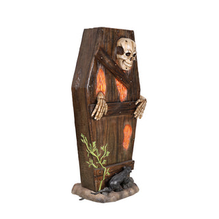 SKELETON IN THE COFFIN