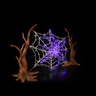 Spider Web And Spider (purple)