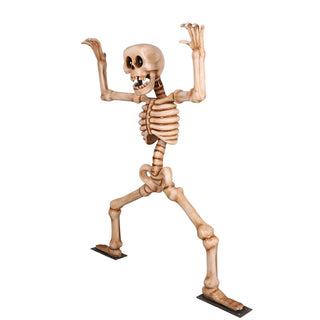 Skeleton Squating 7ft