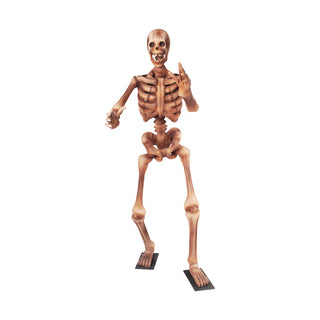 Skeleton 180 "Arms out"