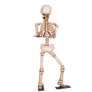 Skeleton Wondering 7ft