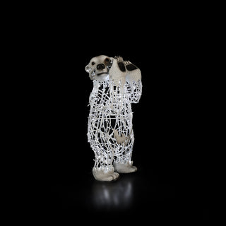 Polar Bear Baby, Standing