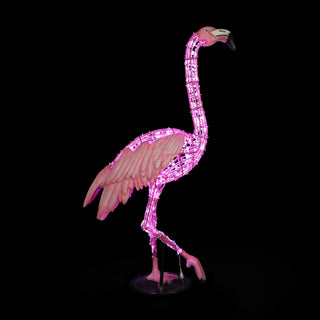 FLAMINGO WALKING