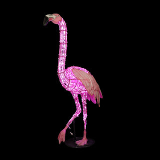FLAMINGO WALKING