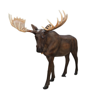Elk